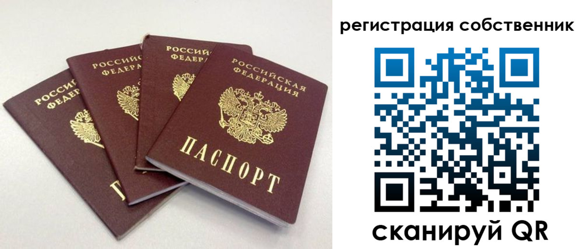 прописка для школы в Карталах